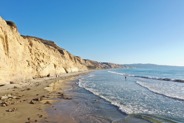 Torrey Pines State Natural Reserve 3