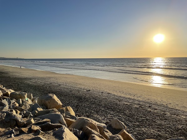 Torrey Pines State Natural Reserve 2