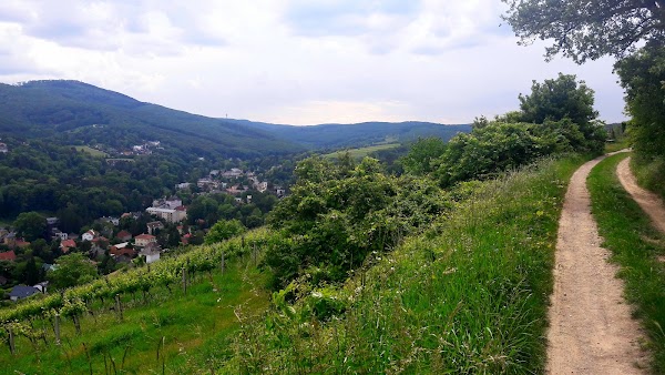 Klosterneuburg 4