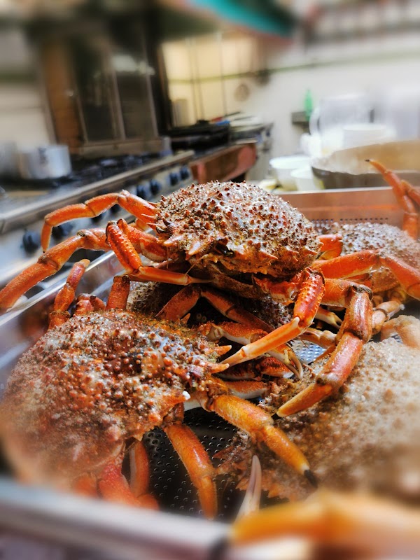 Trattoria da Romano 5