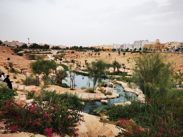 وادي الرياض الخضراء 1