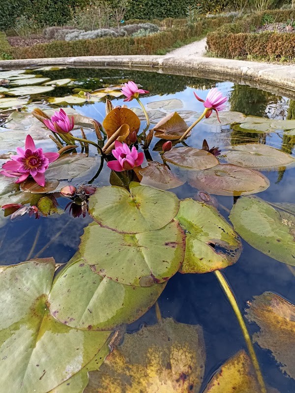 Jardim Botânico do Porto | Museu de História Natural e da Ciência da U.Porto 3
