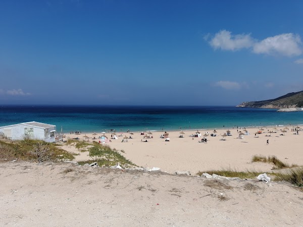 Dalia Beach 5