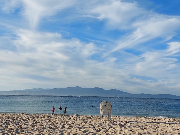 Dalia Beach 3