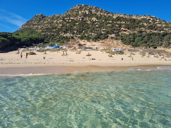 Dalia Beach 2