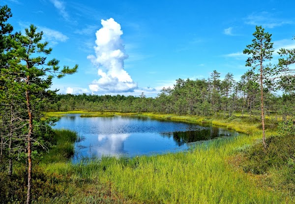 Lahemaa National Park 5