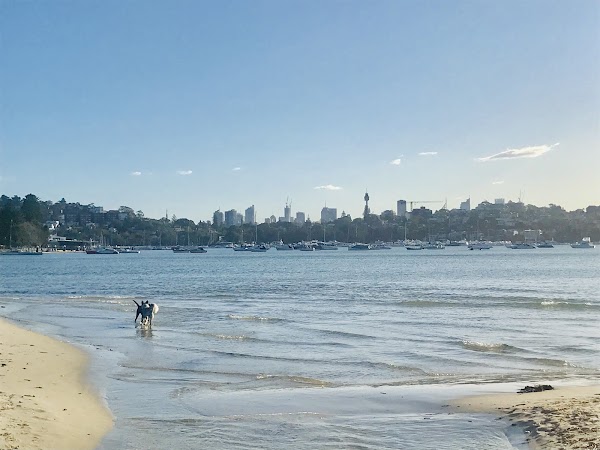 Rose Bay Beach