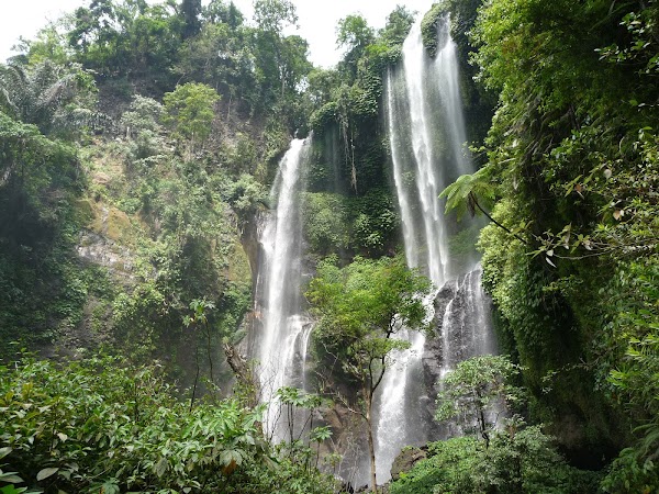 Lemukih 1