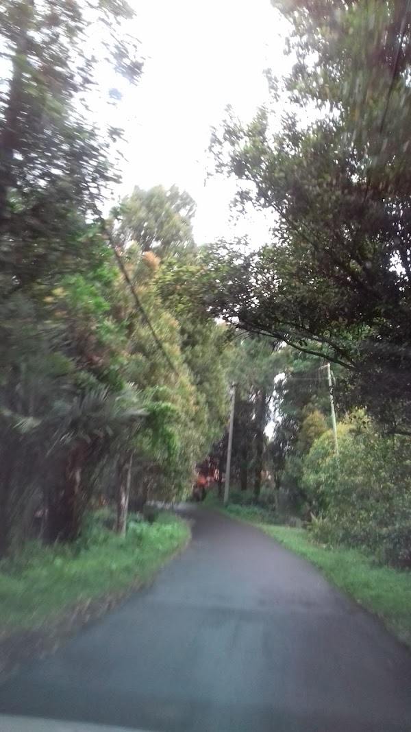 Lemukih 3