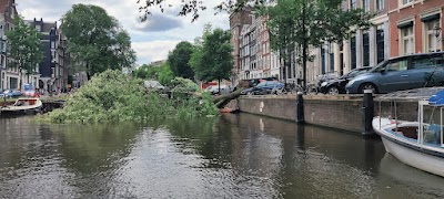 Amsterdam 7