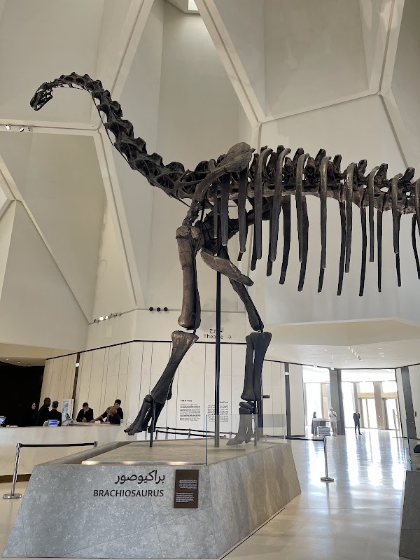 Natural History Museum Abu Dhabi 1