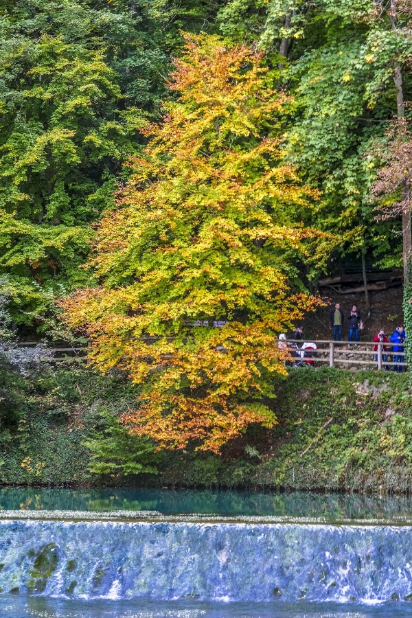Blautopf 5