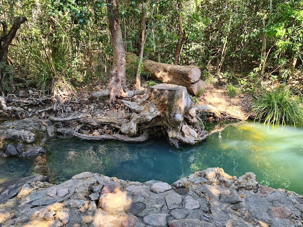Cardwell Spa Pool 5