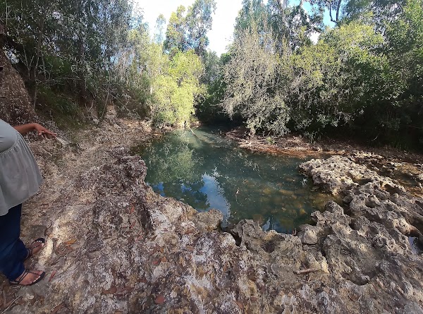 Cardwell Spa Pool 2