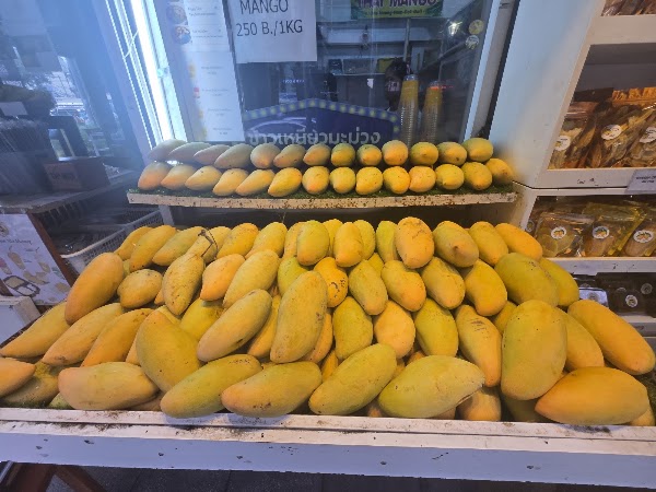 Chef Ple Thai Mango Sticky Rice 4