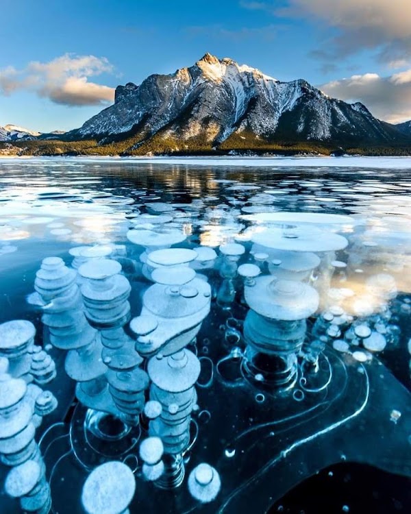 Abraham Lake