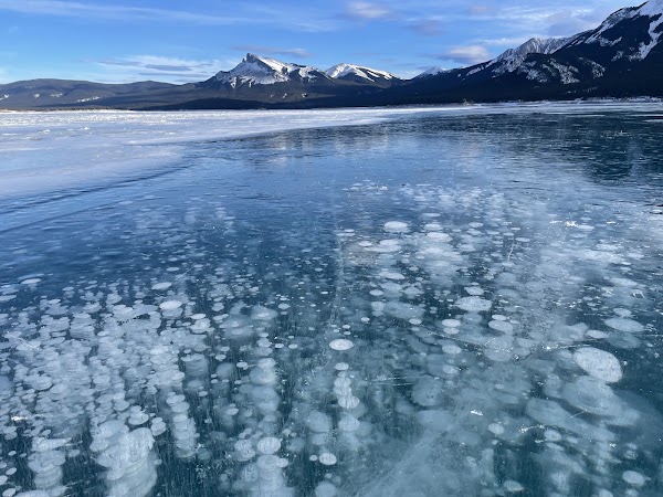 Abraham Lake 4