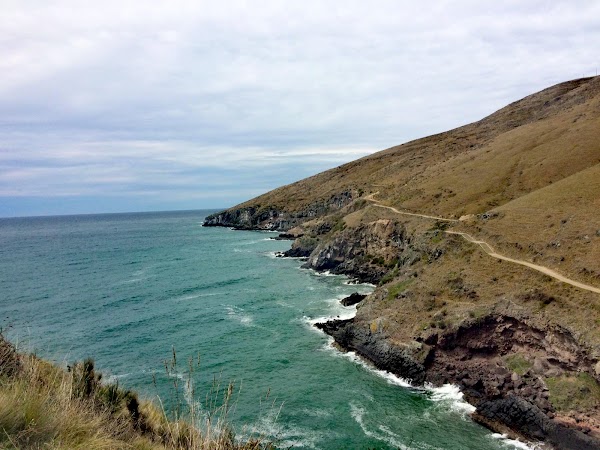 Godley Head