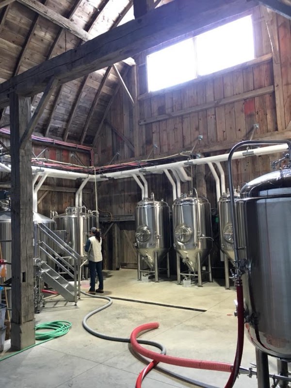 Charlotteville Brewing Company Ltd.