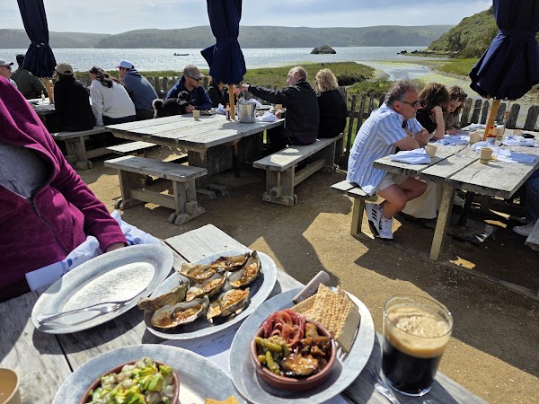 THE BOAT OYSTER BAR at Hog Island Oyster Farm 4