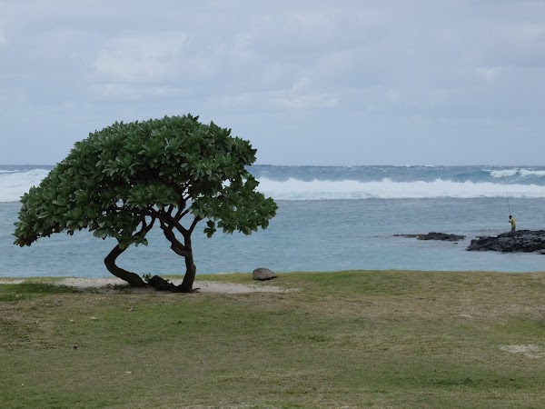 La Cambuse Public Beach