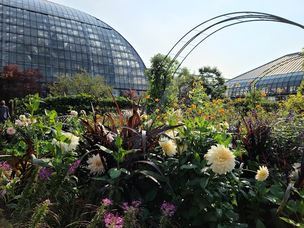 Garfield Park Conservatory 5