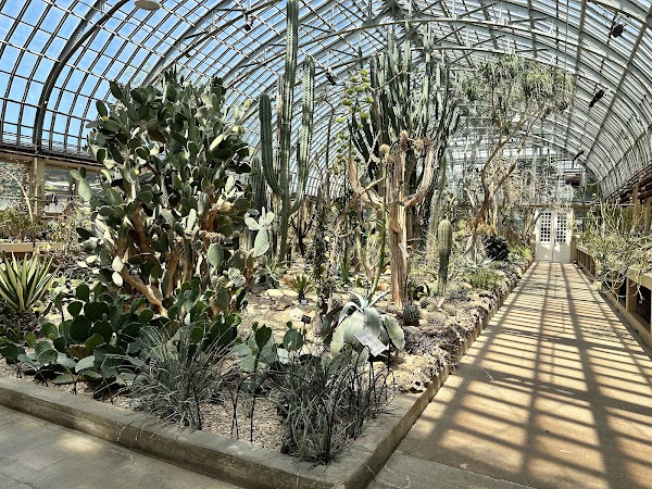 Garfield Park Conservatory 4
