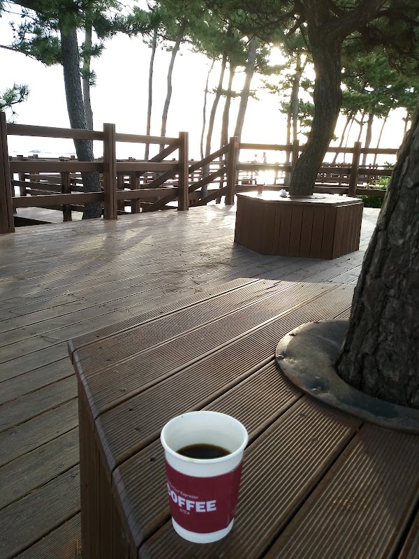 Sea Cafe 1