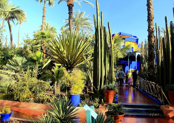 Musée Berbère Jardin Majorelle 4