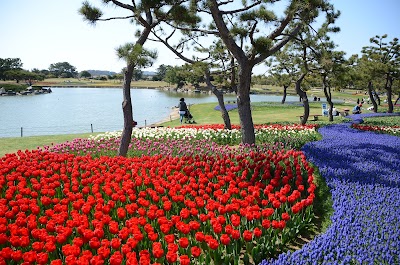 Uminonakamichi Seaside Park 1