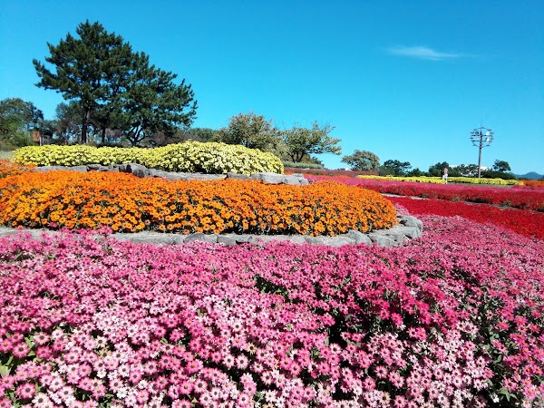 Uminonakamichi Seaside Park 2