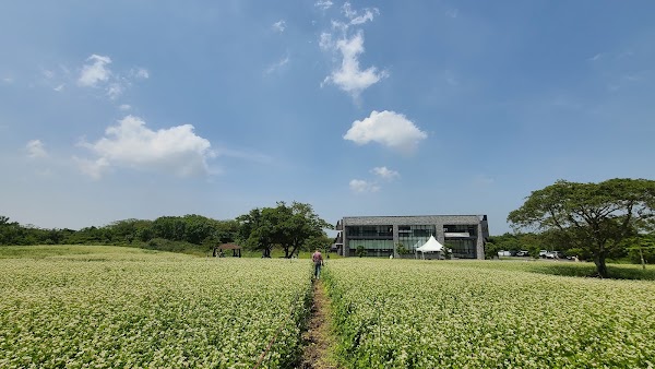 와흘메밀마을 3
