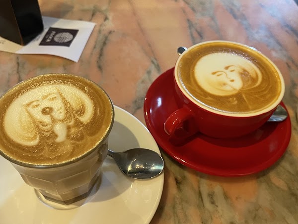 FLOCK CAFE 4