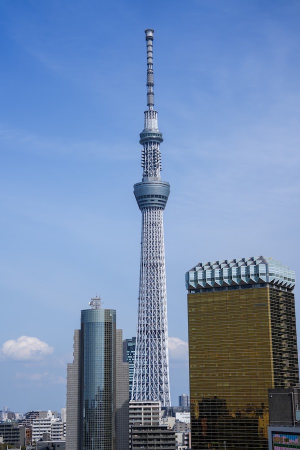 Asakusa Culture Tourist Center Observation Terrace 5