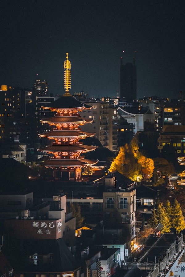 Asakusa Culture Tourist Center Observation Terrace 3