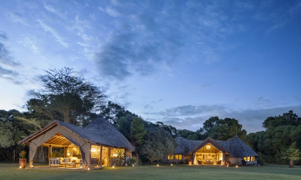 House in the Wild 5