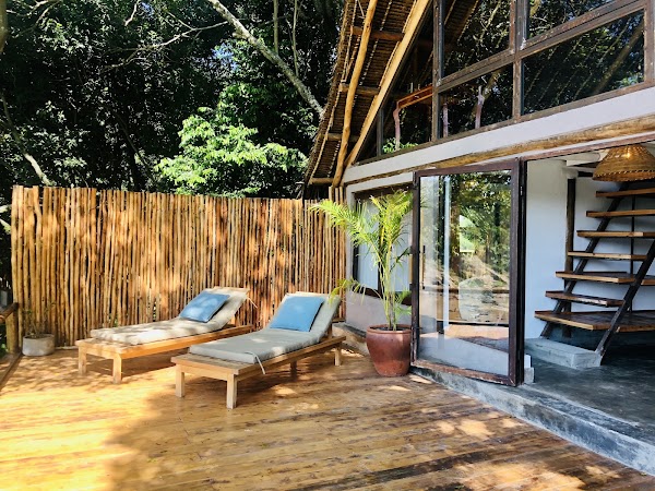 House in the Wild 3