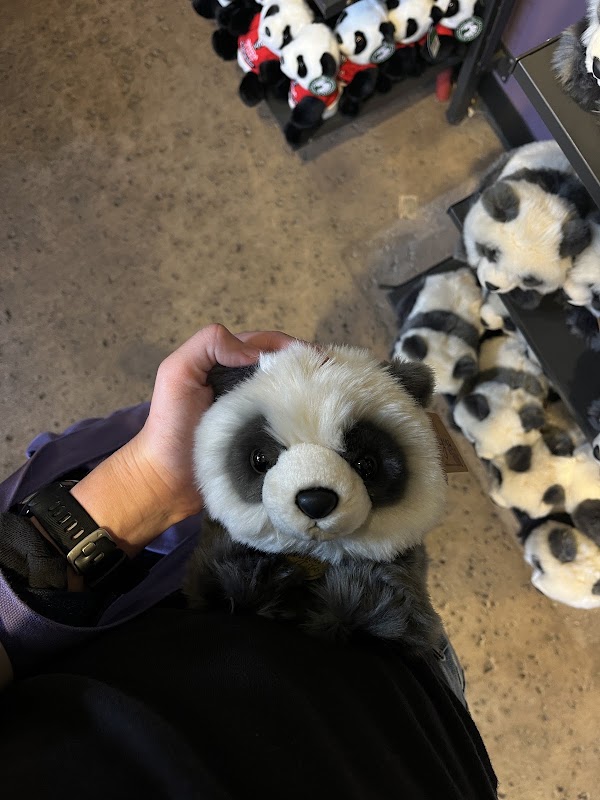 Panda Trek 2