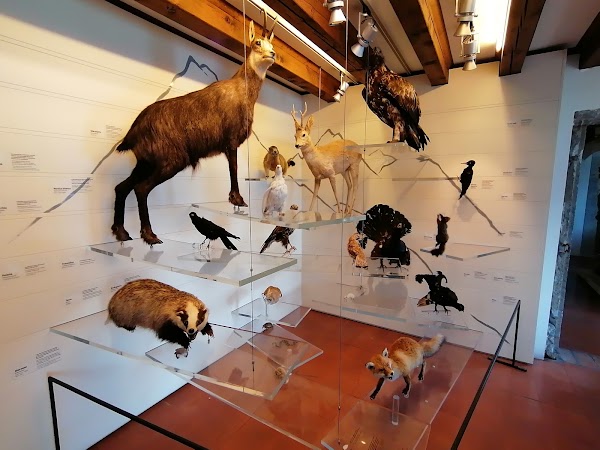 Museo di Storia Naturale del Baldo e del Garda