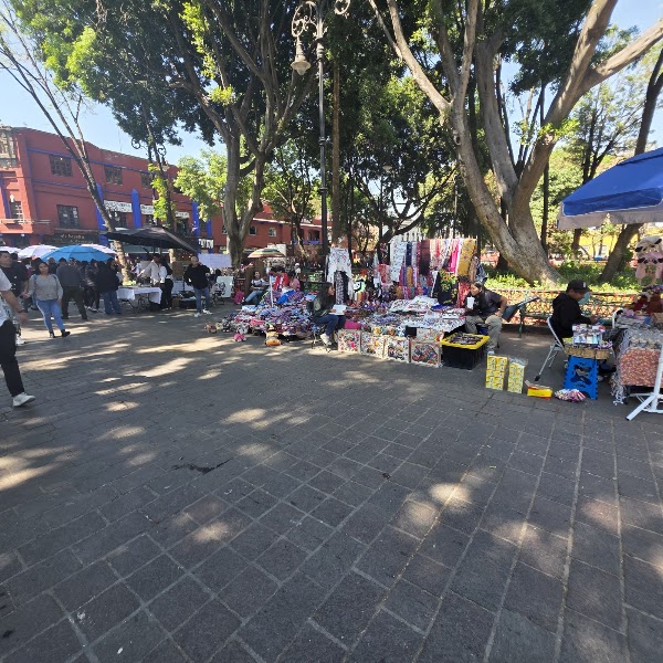 Centro de Coyoacán 4