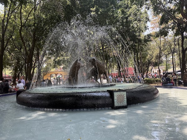 Centro de Coyoacán 2