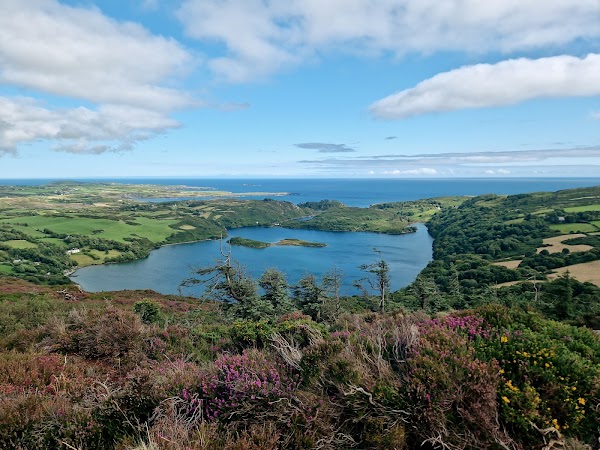Lough Hyne 1