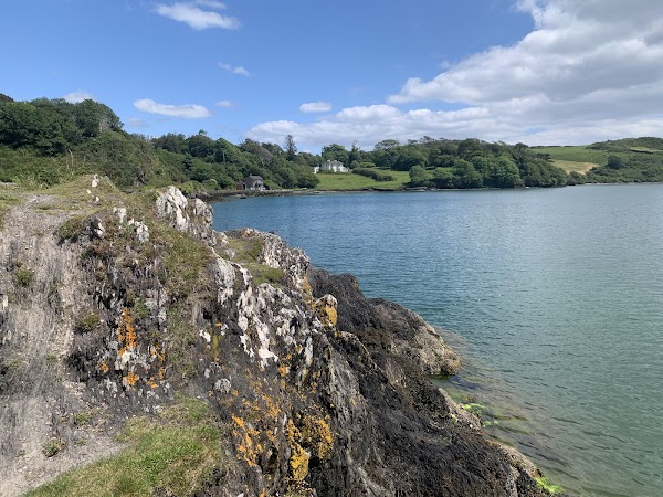 Lough Hyne 5
