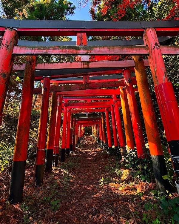 Fushimi Hakuseki Inari Shrine (Trailhead)