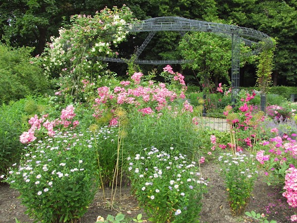 Rosengarten 5