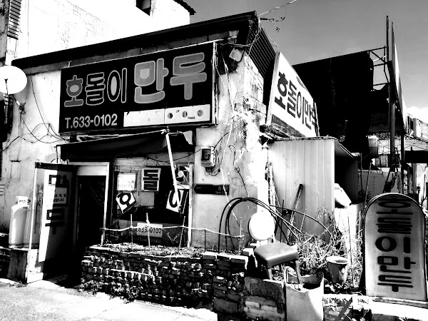 호돌이 만두 2