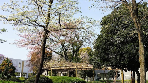 Japan 42