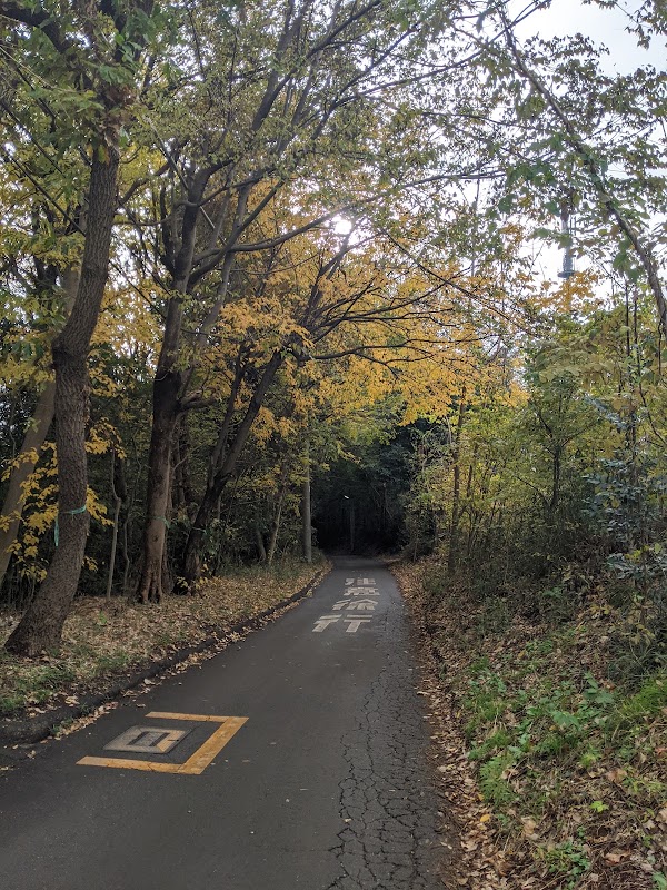 Tokorozawa 5