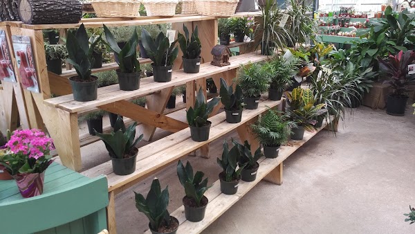 Hennigar's Farm Market 4