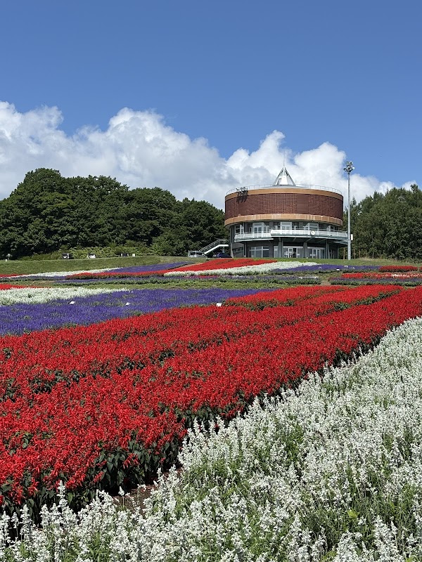 Hana Tento flower Park